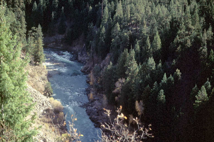 Da unten fliet der Animas River
