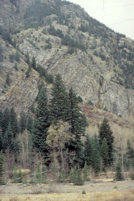 Steil gestellte Gesteinsschichten